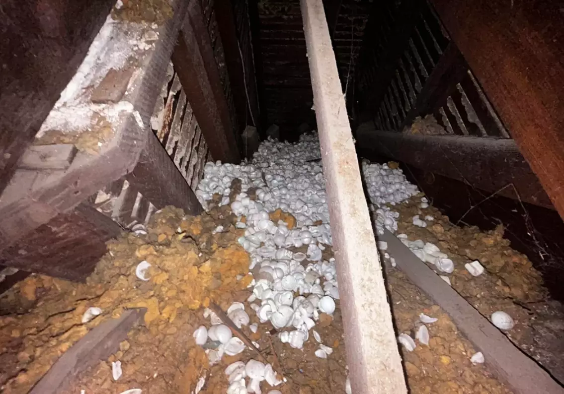 My Mother-in-law Left Me Nothing in Her Will