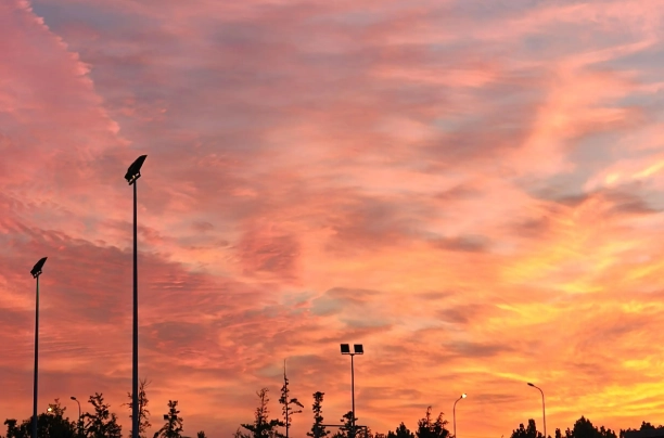 My Mother-in-law Left Me Nothing in Her Will